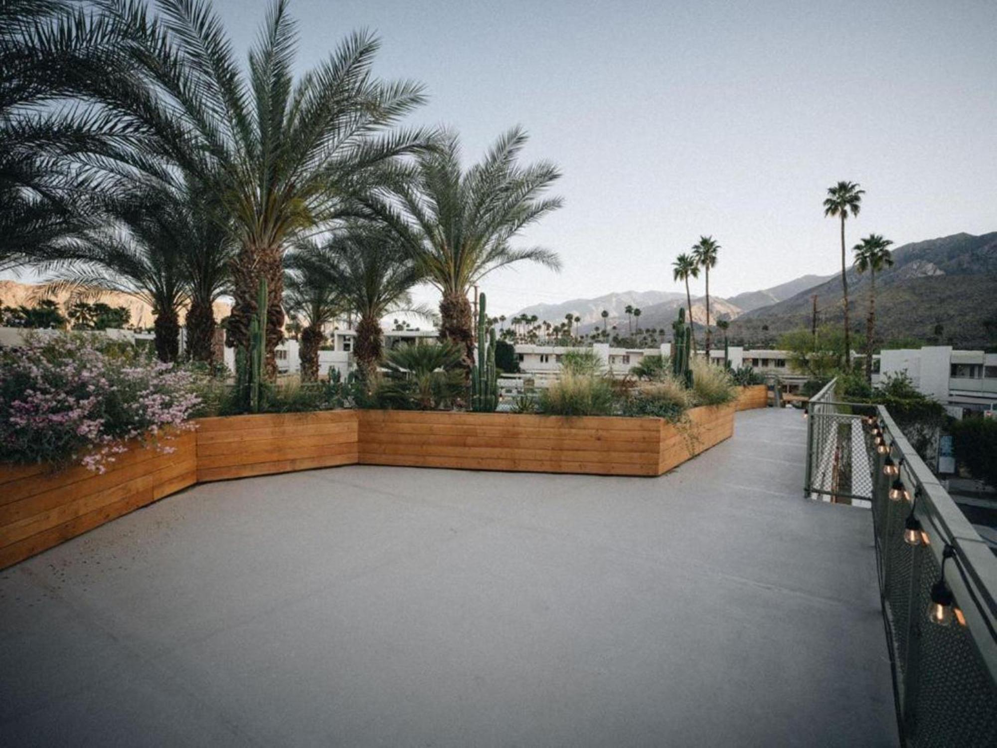 Ace Hotel And Swim Club Palm Springs Esterno foto